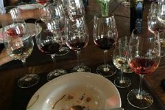 07-07 Chardonnay, Merlot, Malbec, 4 Cepas, Torrentes, Chardonnay Altitud Accompany Our Delicious Late Lunch At Andeluna Cellars Vineyard On The Uco Valley Wine Tour Mendoza.jpg
